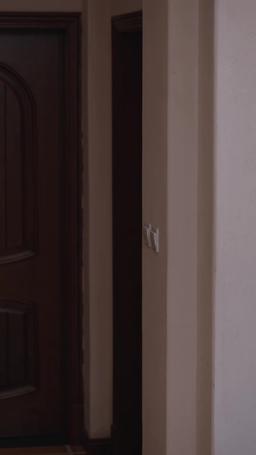 Camouflage episode 39