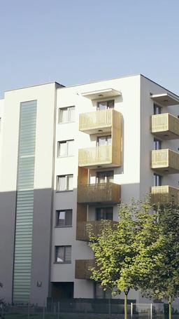 Blitzhochzeit in der Lebensmitte: Mein Milliardärs-CEO episode 32