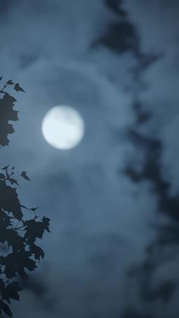 La persona che ho perso episode 61