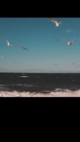 Fairytale episode 22