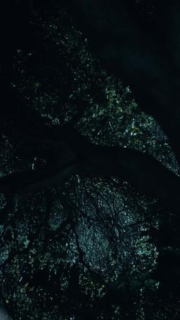 ชะตาผูกพันกับหมาป่าผู้เป็นศัตรู episode 23