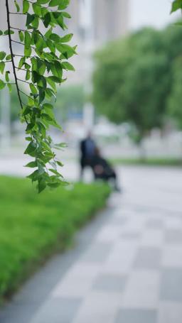 Da reietta a sovrana, il gioco di potere dell'amore episode 24