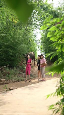 เขยที่ท่านตามหาคือประมุข episode 11