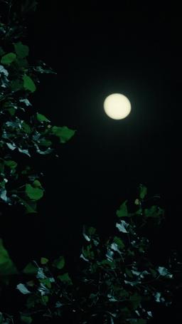 [مدبلج] شريرة السبعينيات وعائلة لا تُقهر episode 18