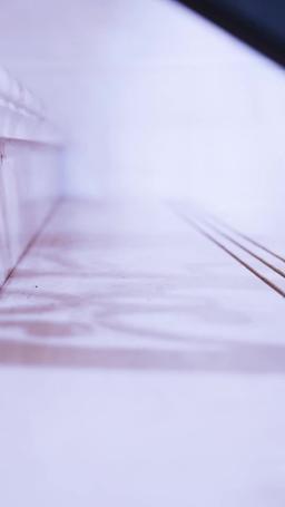 Cougar and Cub episode 14