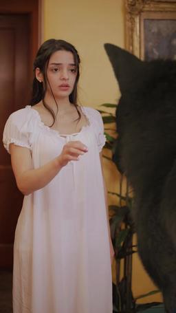 L'Alpha Maudit et sa Promise episode 17