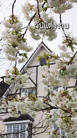 ความอ่อนโยนที่ถูกพราก episode 27