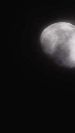 Desejada pelo Alfa Rebelde episode 48