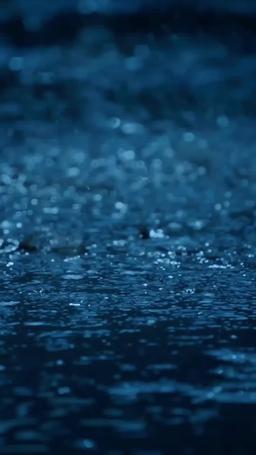 The Woman Behind the Canvas episode 1