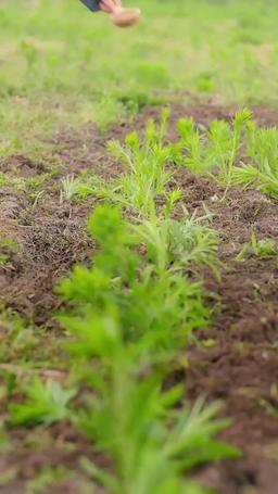 Survival Begins: I Own a System episode 24