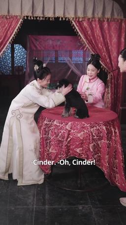 When a Morden Girl Fell Into the Prince’s Harem episode 35