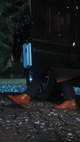 [吹き替え] 白いクリスマスの白い嘘 trailer