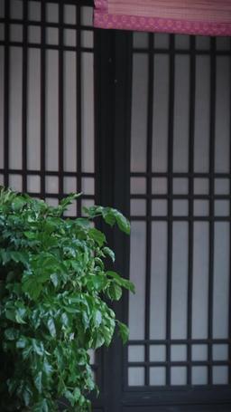 Wyjść za wiosenny wiatr episode 61