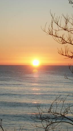 Asas de Fogo: O Matador de Dragões é Meu Ex-Amante episode 60