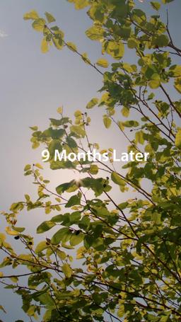 On ne Perd jamais Celui qu'on Aime episode 73