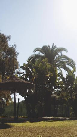 Mi Despiadado Rey de la Mafia episode 40