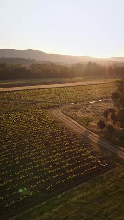 Liberata dal contadino sexy episode 1