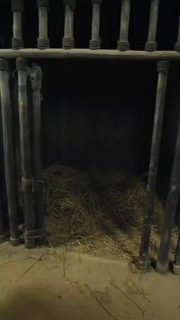 廃寺からの生還 episode 93