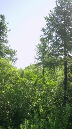 Ehi mamma! Dobbiamo trovare un nuovo papà! episode 30