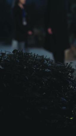 Love Lies and Bloodline episode 9