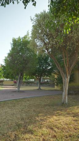 Mi Vecino El Capitan episode 11