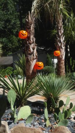 ナミスシの秘密 episode 23