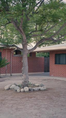 لاعب الوسط المفقود[ مدبلج ] episode 38