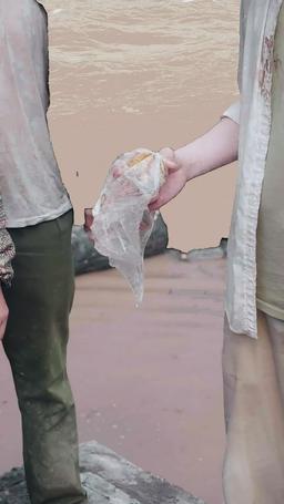 Reverse Rescue in the Great Flood episode 35