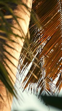 「Synchronisierung」Vermiss mich nicht, wenn ich fort bin episode 47