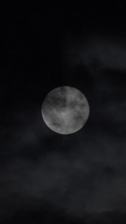 Compañero oculto episode 30