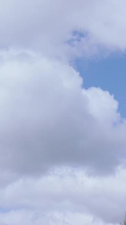 Embarazada del Padre Profesor de Mi Ex episode 60