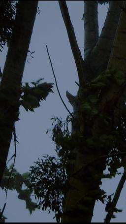 Diambil oleh Alpha yang Kubenci episode 6