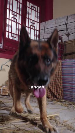 Musuh Kakakku Malah Jatuh Cinta Padaku episode 9