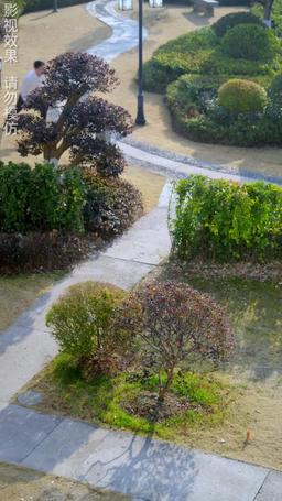 Sr. Silva, você escolheu a pessoa errada episode 51