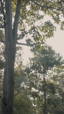 Fate's Chosen: The Last Exorcist episode 60