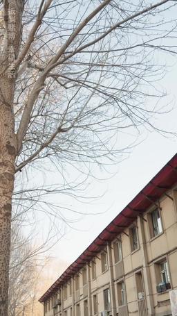 [مدبلج] المخادع episode 75