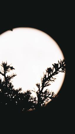 Cintaiku Setelah Kematianku episode 7