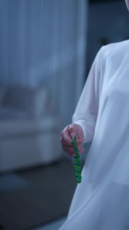 La bisnonna è la coltivatrice suprema episode 12