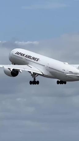 Entwined Fates: Echoes in the Ashes episode 33