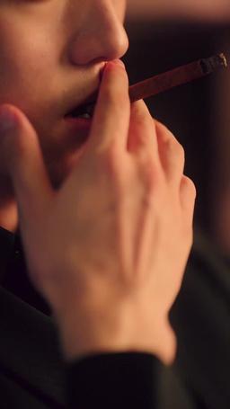 Casada con el jefe de la mafia episode 29