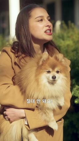 내 보스는 비밀 기증자 episode 52