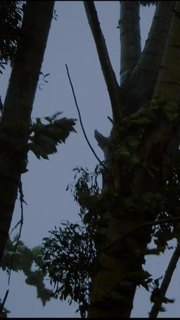 「Synchronisierung」Beansprucht vom Alpha, den ich hasse episode 6