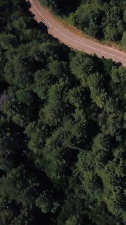 無職の夫は大富豪だった件! episode 46