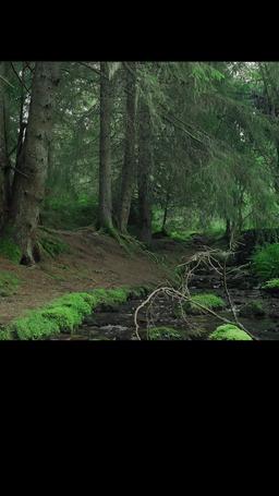 Dagger Kiss: Enchanted Forest episode 3