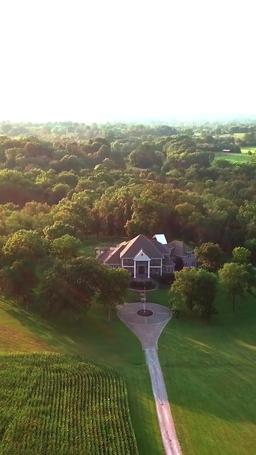 Step Aside, I'm the King of Capital episode 49