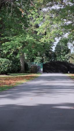 Mafia's Tender Torture episode 1