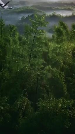 Urban Dominance episode 1