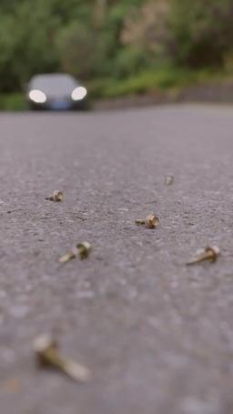 Reinkarnacja w miliardową córkę episode 36