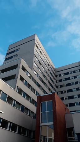 Accidentalmente embarazada del Alfa episode 1