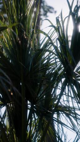 Rahasia Restoran Sushi Ibuku episode 21